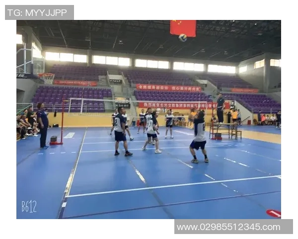 深圳排球队比赛经验的变革与热议引发的思考与启示