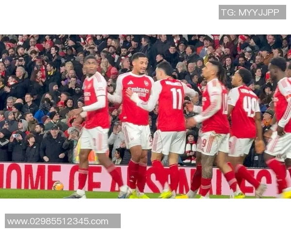 马丁内利：从青涩小将到足坛新星的成长之路与未来展望