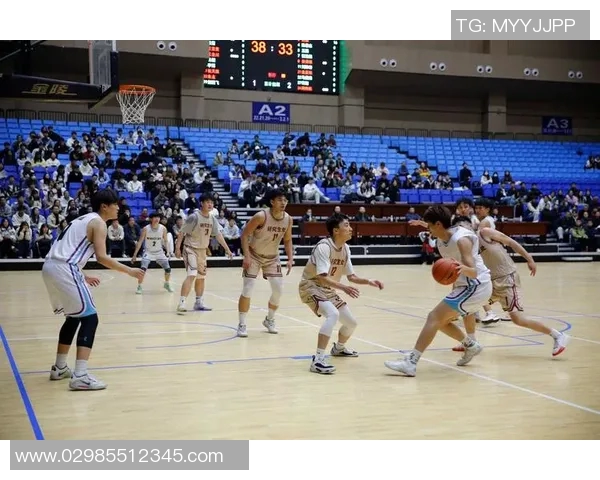 杭州篮球队配合默契创历史新高引领全国篮球发展新潮流